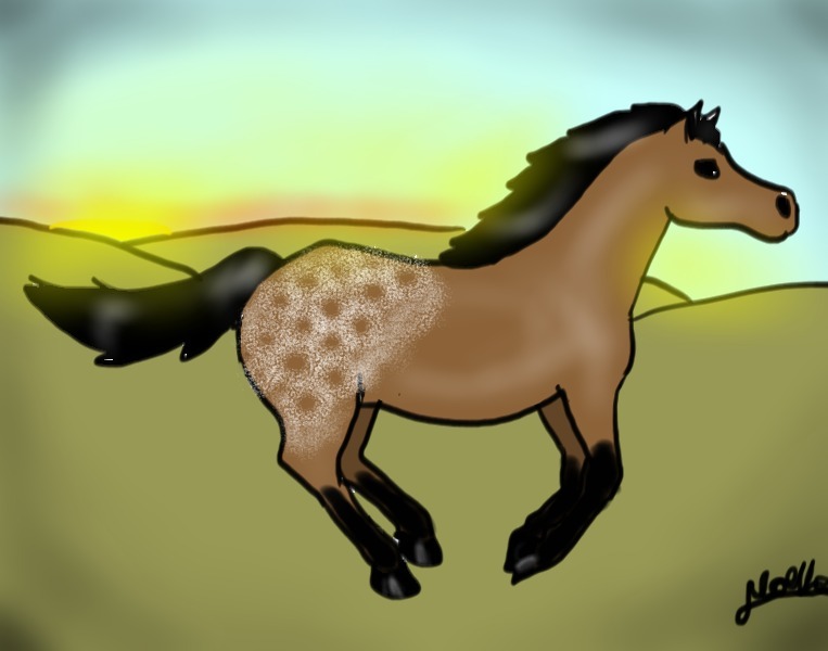 medium_Galloping_wild_horse.jpg