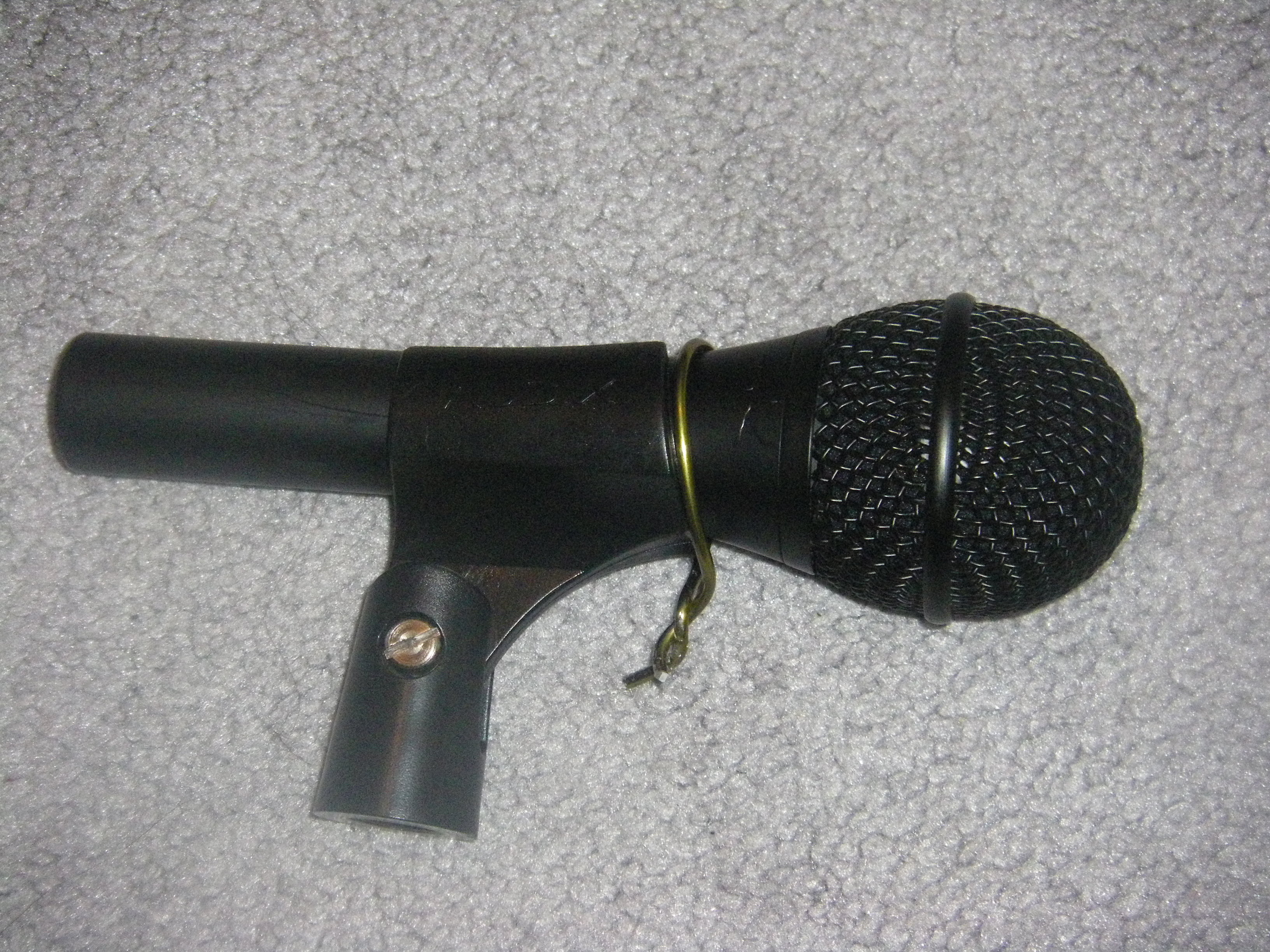 mic with circle.JPG