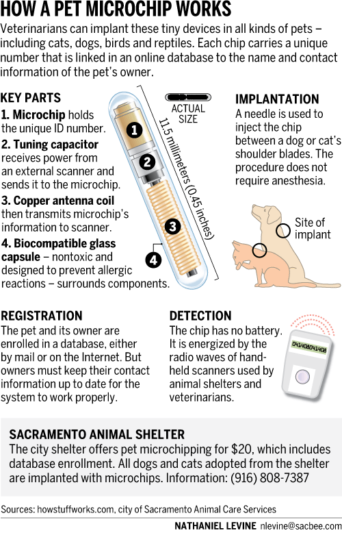 microchip.gif