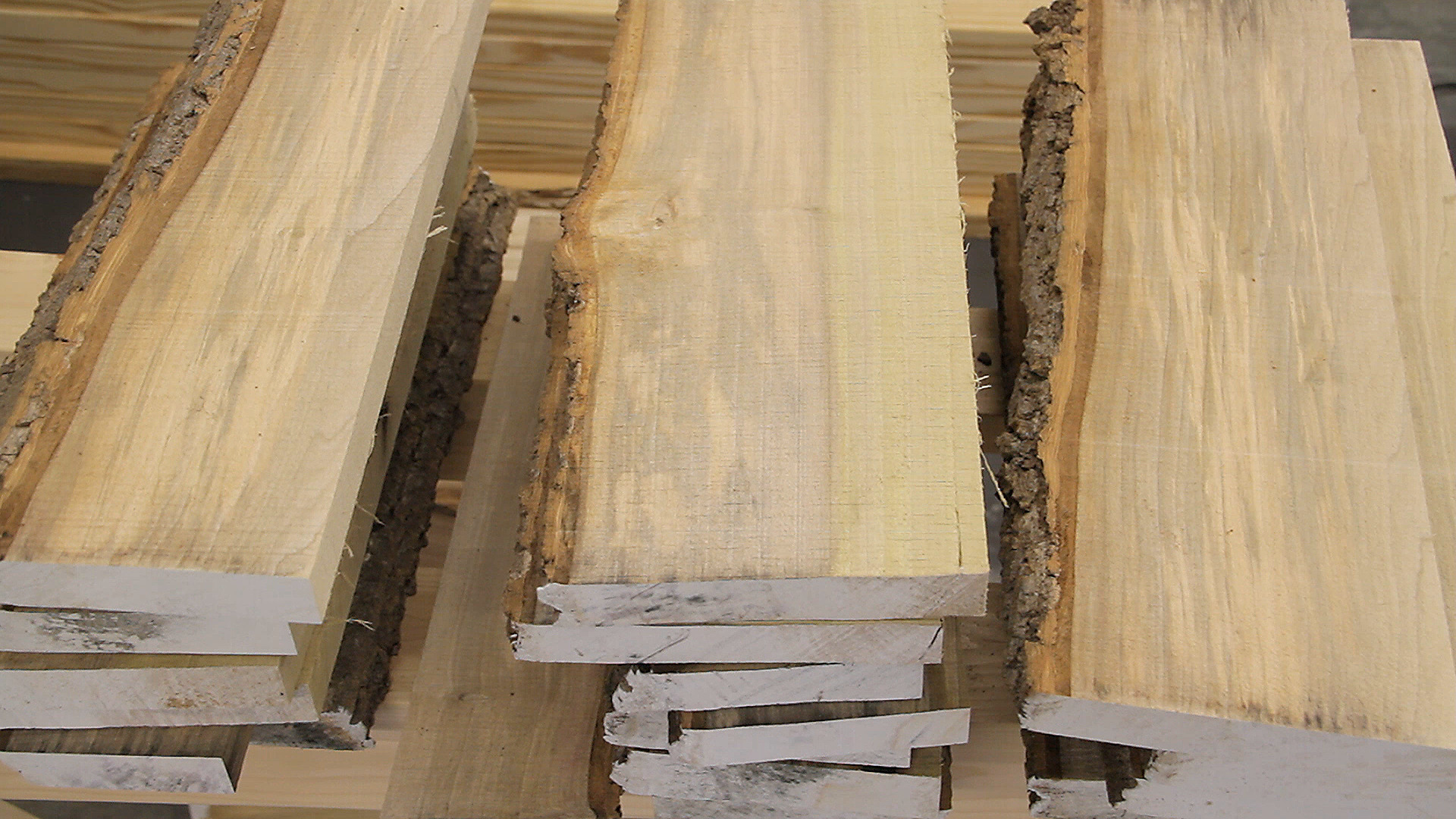milling-logs-bandsaw-boards-01.jpg