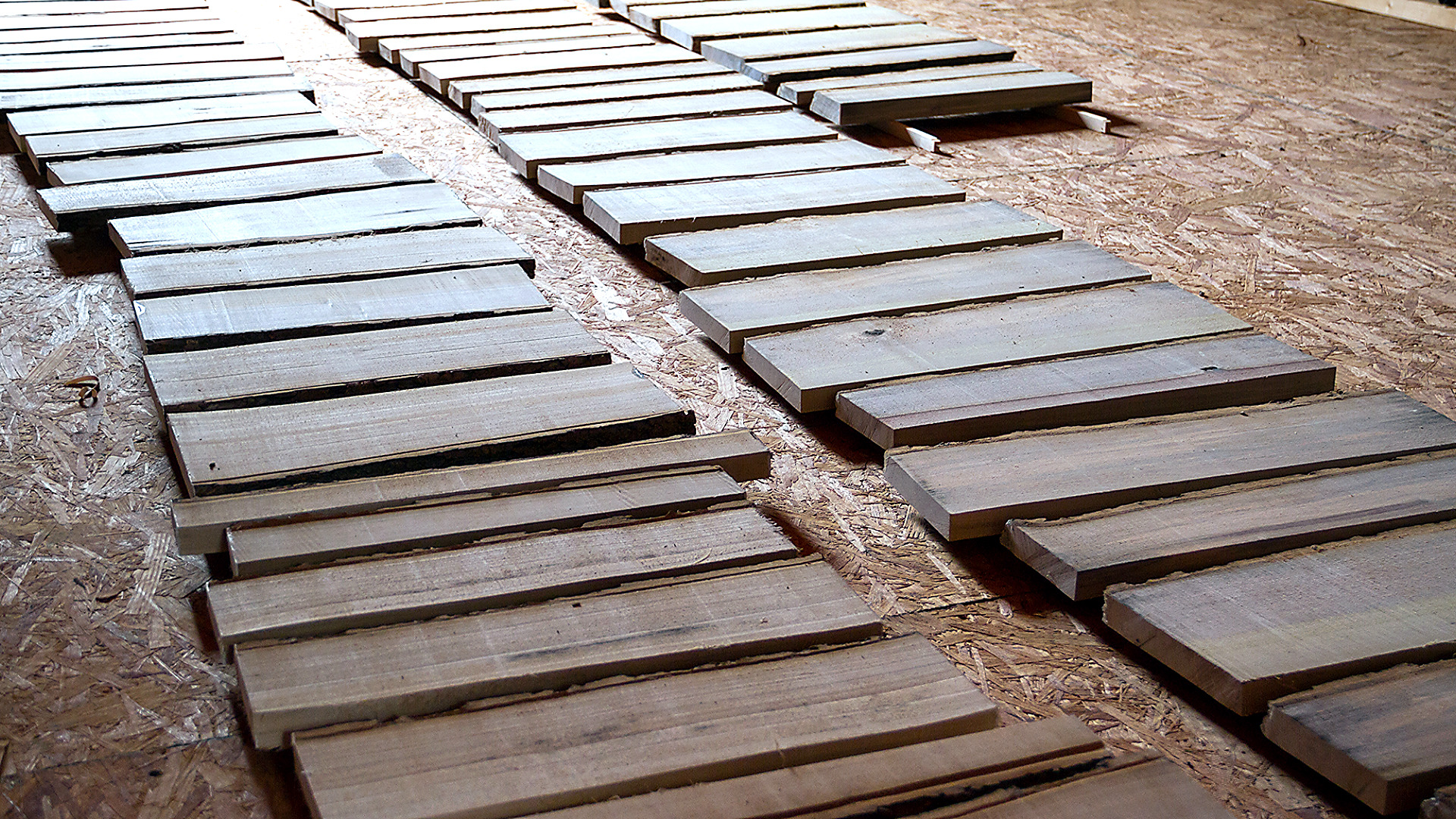 milling-logs-bandsaw-boards-02.jpg