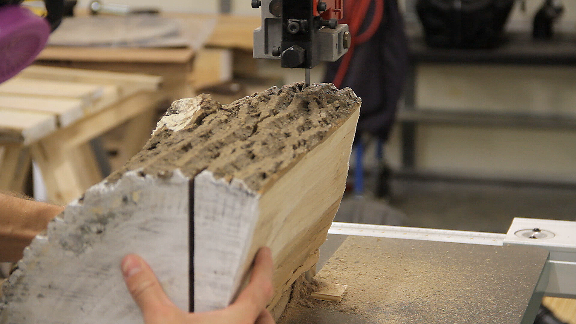 milling-logs-bandsaw-cut-02.jpg