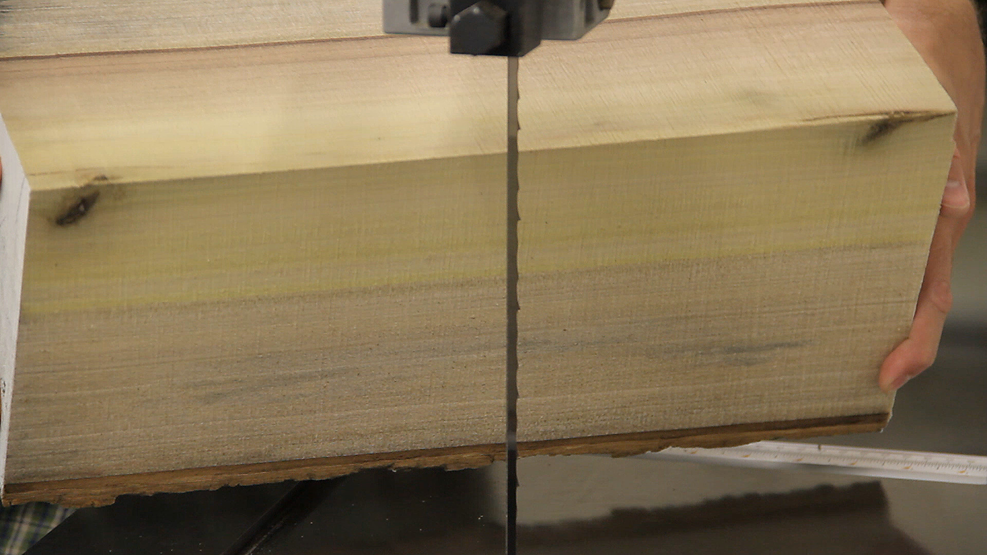 milling-logs-bandsaw-cut-04.jpg
