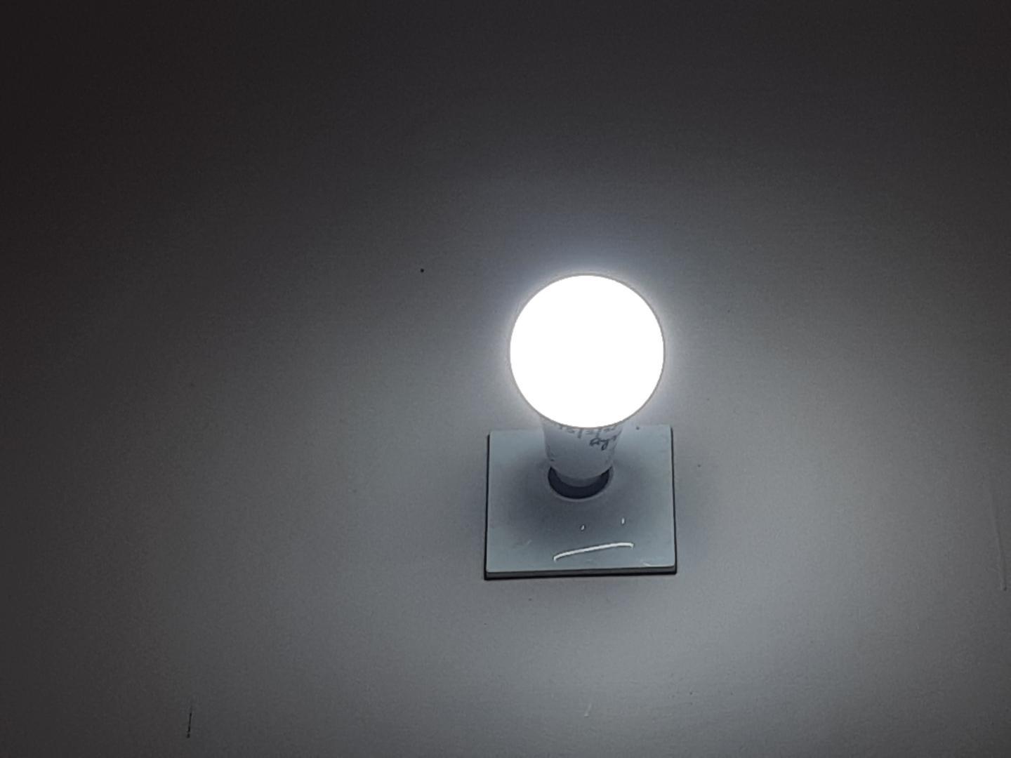 mini_20220128_113329.jpg