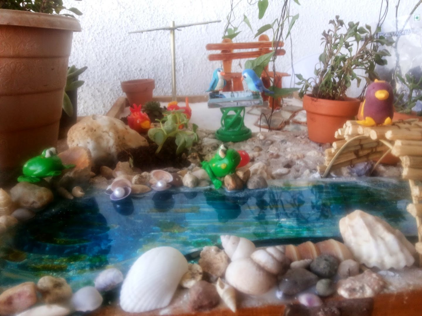 miniature garden.jpg