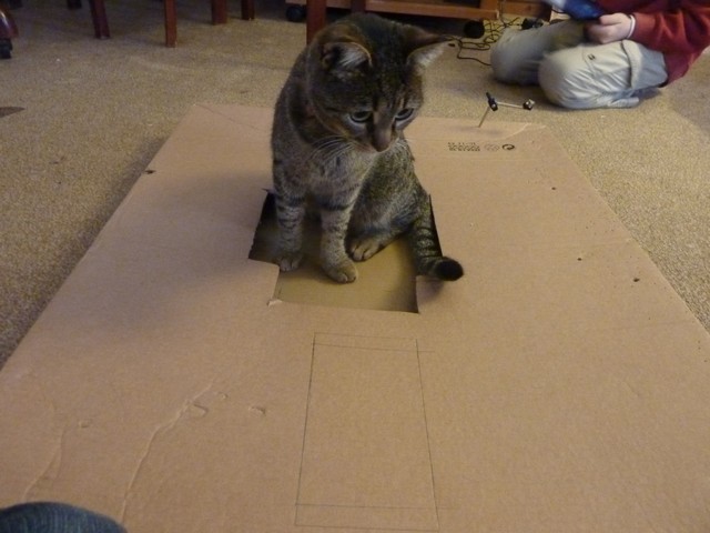 misha on box1.jpg