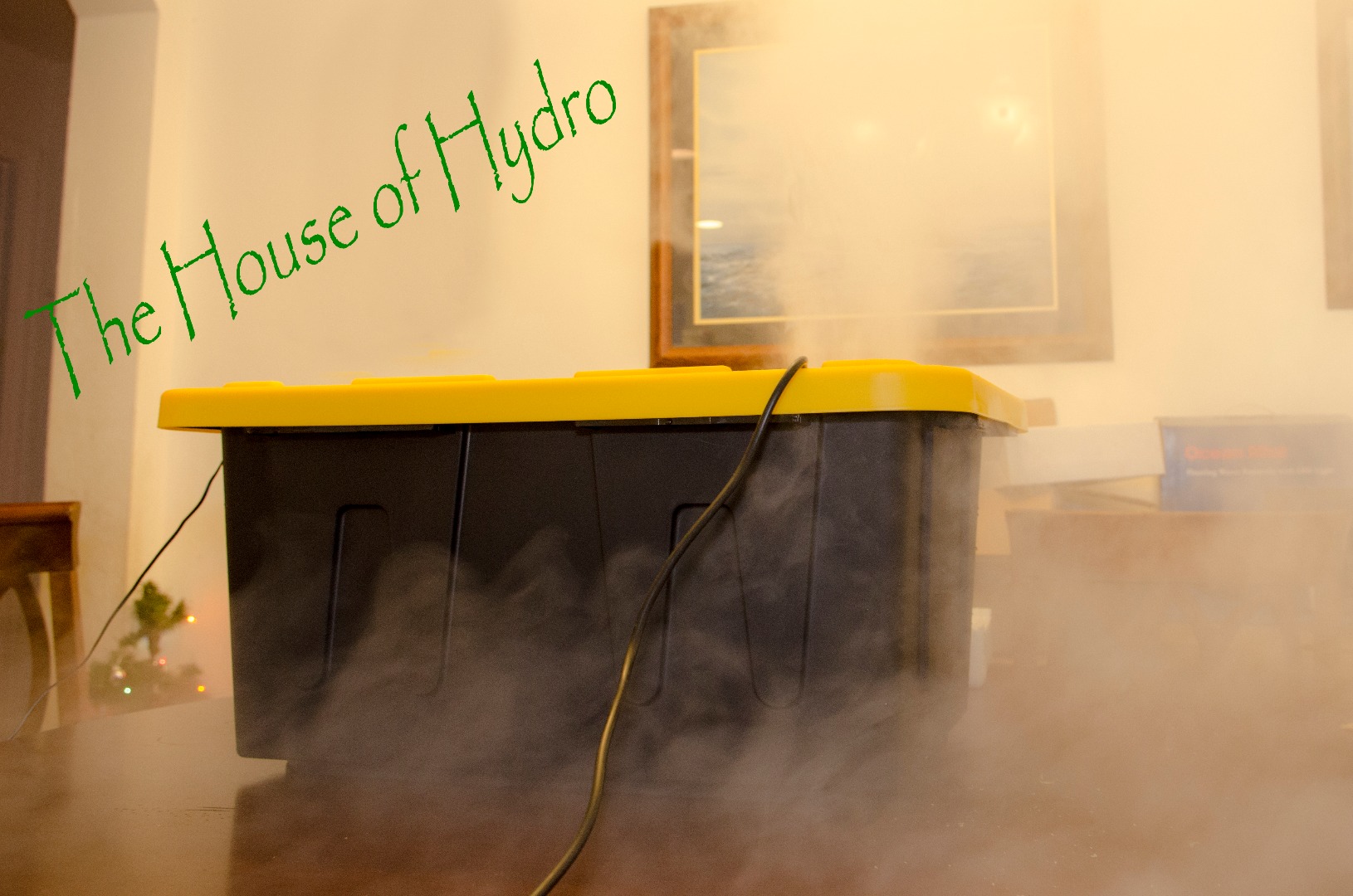 mist maker humidifier.jpg