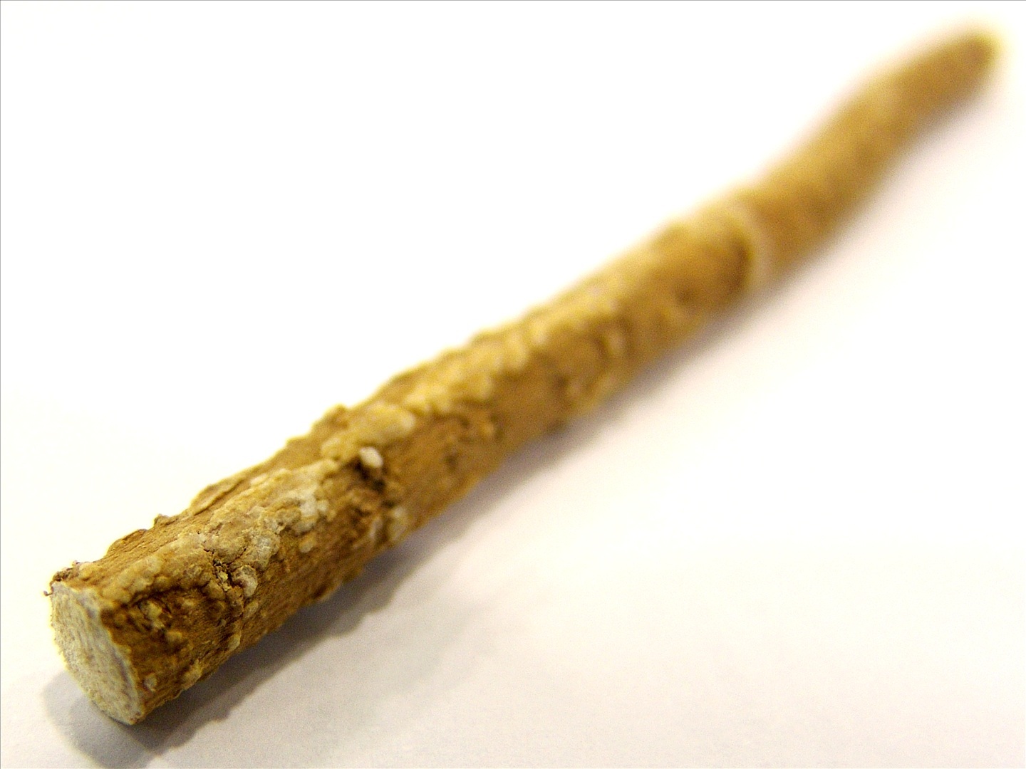 miswak-stick1.jpg