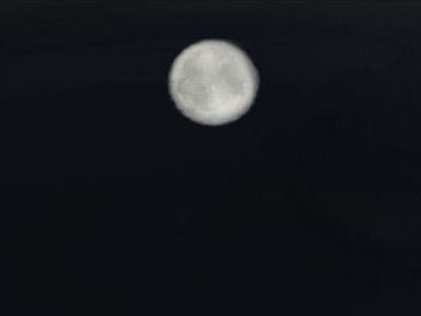 moon.jpg