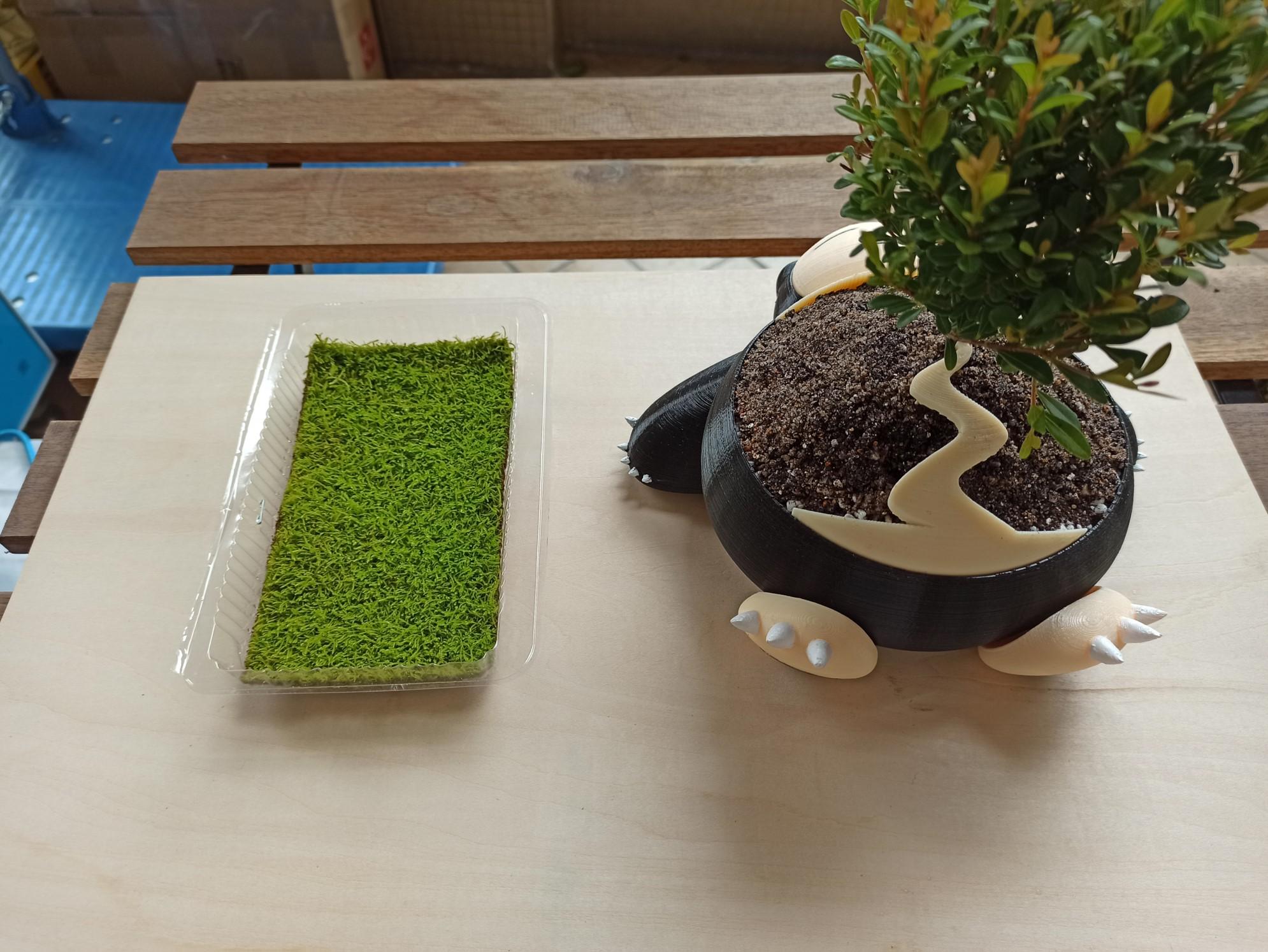 moss1.jpg