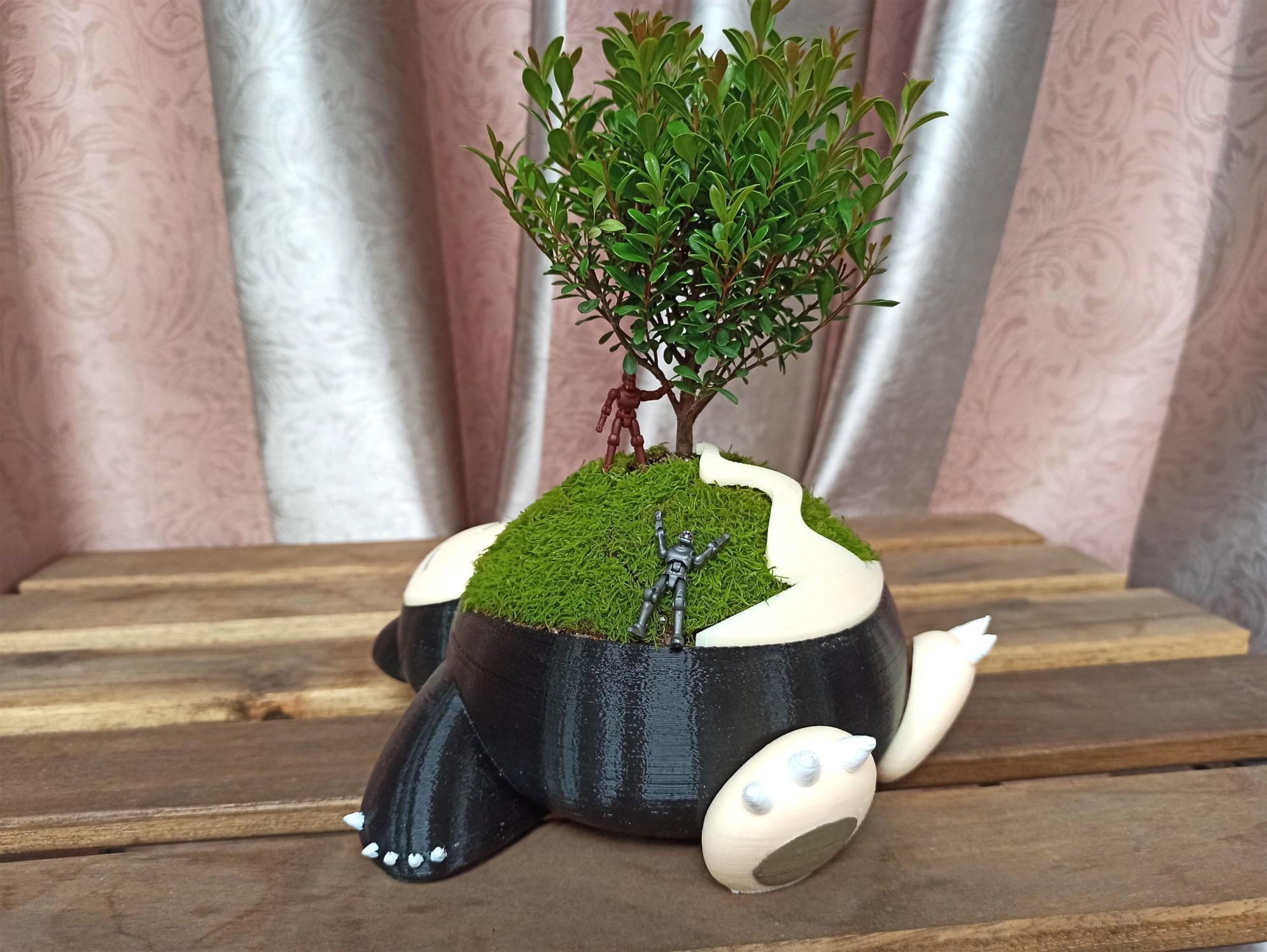 moss2.jpg