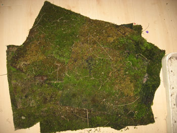 mosschilderij1worteldoek.jpg