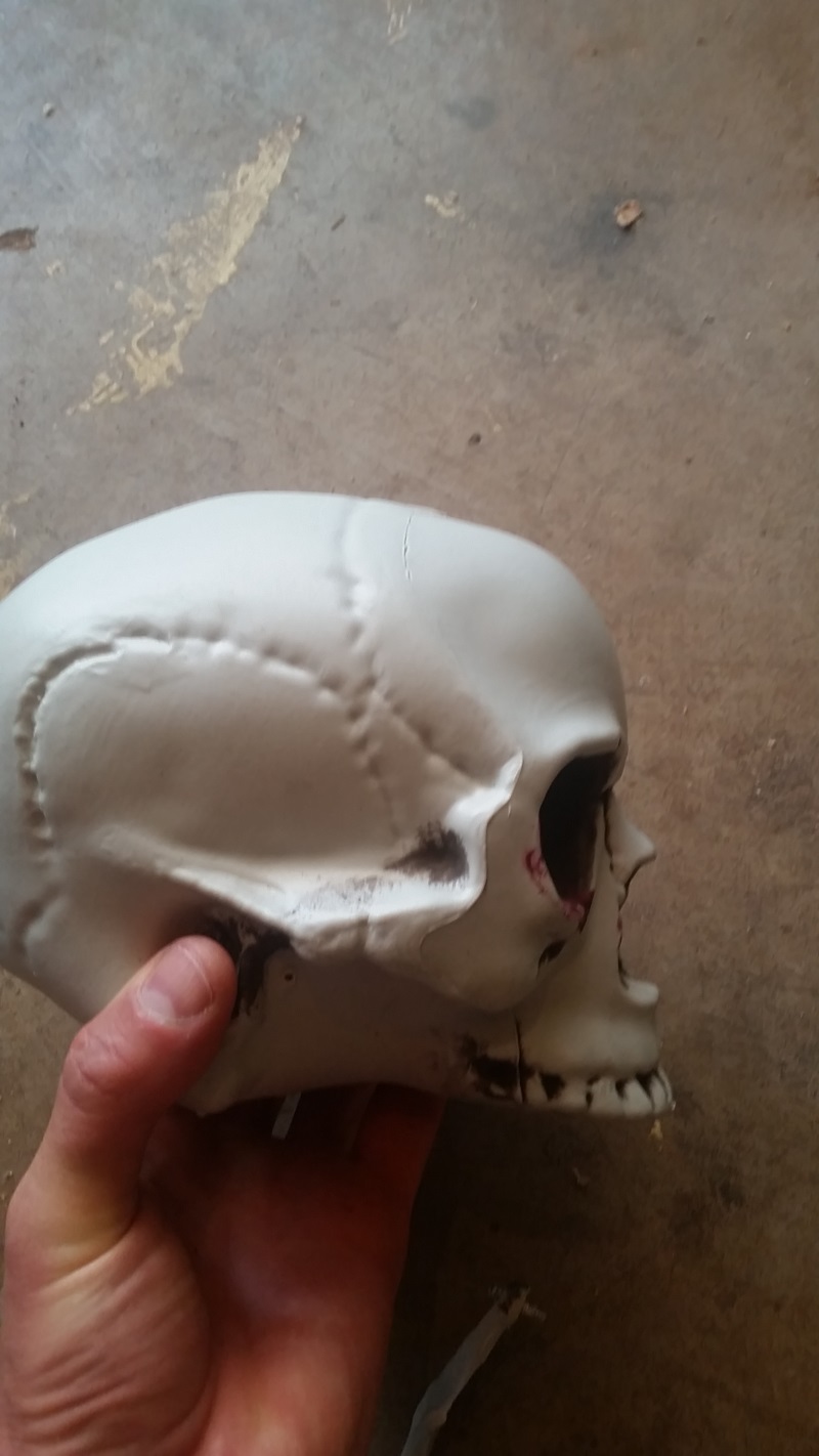 mould lines OG skull.jpg