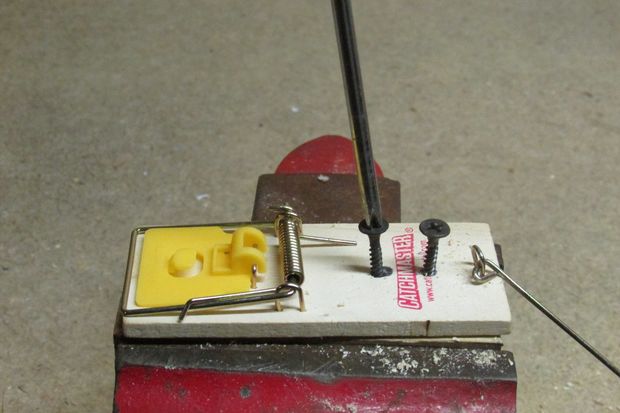 mouse trap 5.jpg