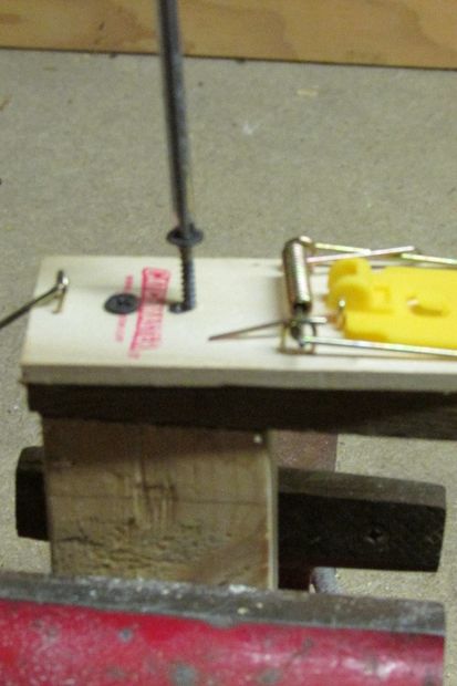 mouse trap 7.jpg