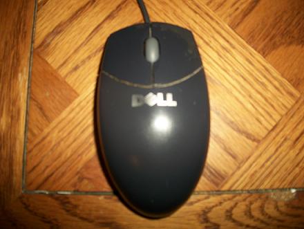 mouse-1.JPG