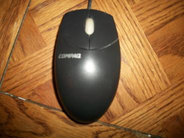 mouse-2.JPG