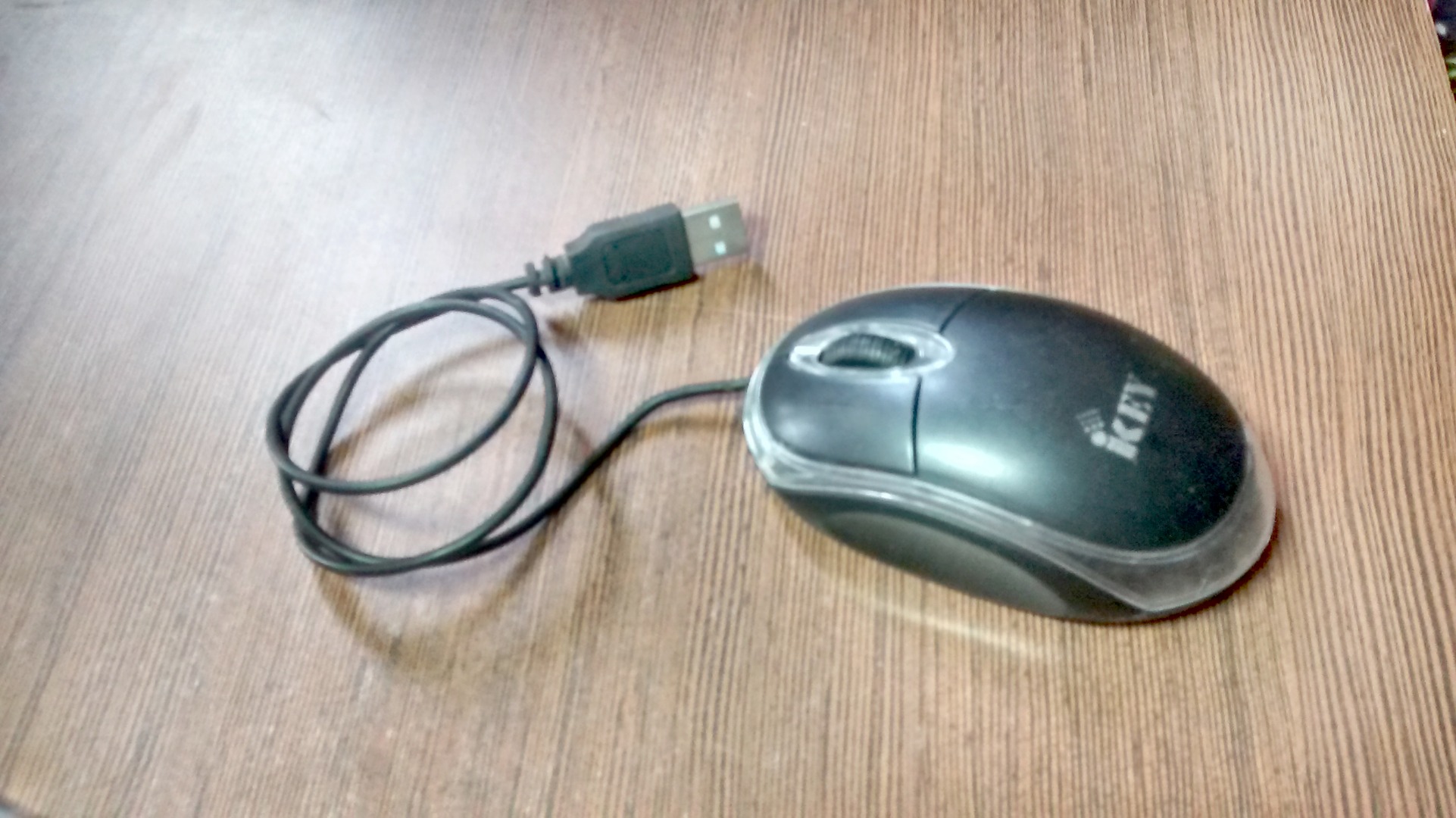 mouse.jpg