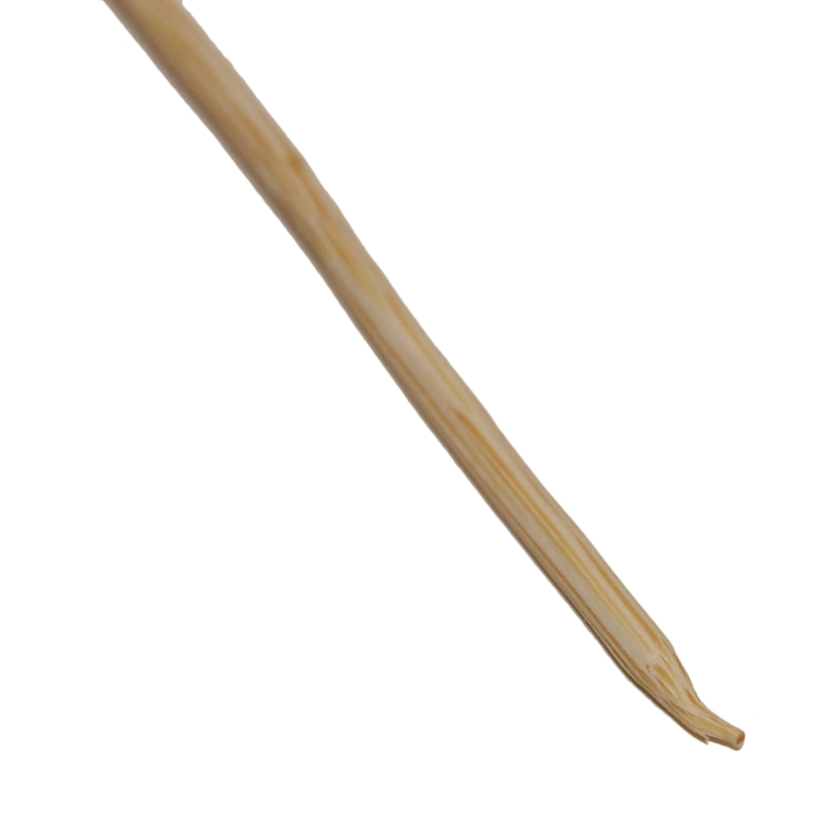 mousetrap22.jpg