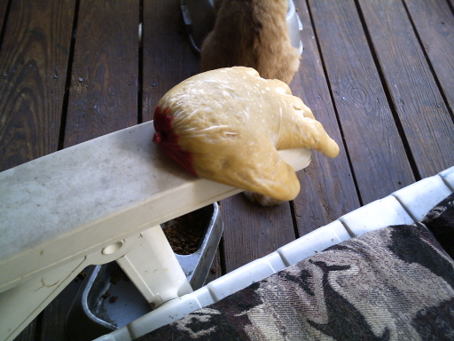 moveable hand5.jpg