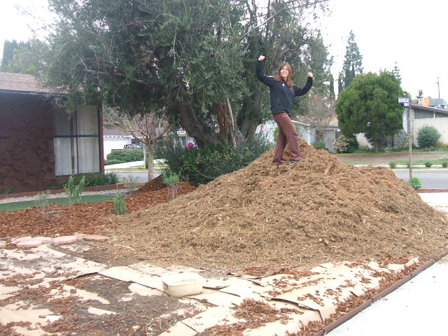 mulch pile.jpg