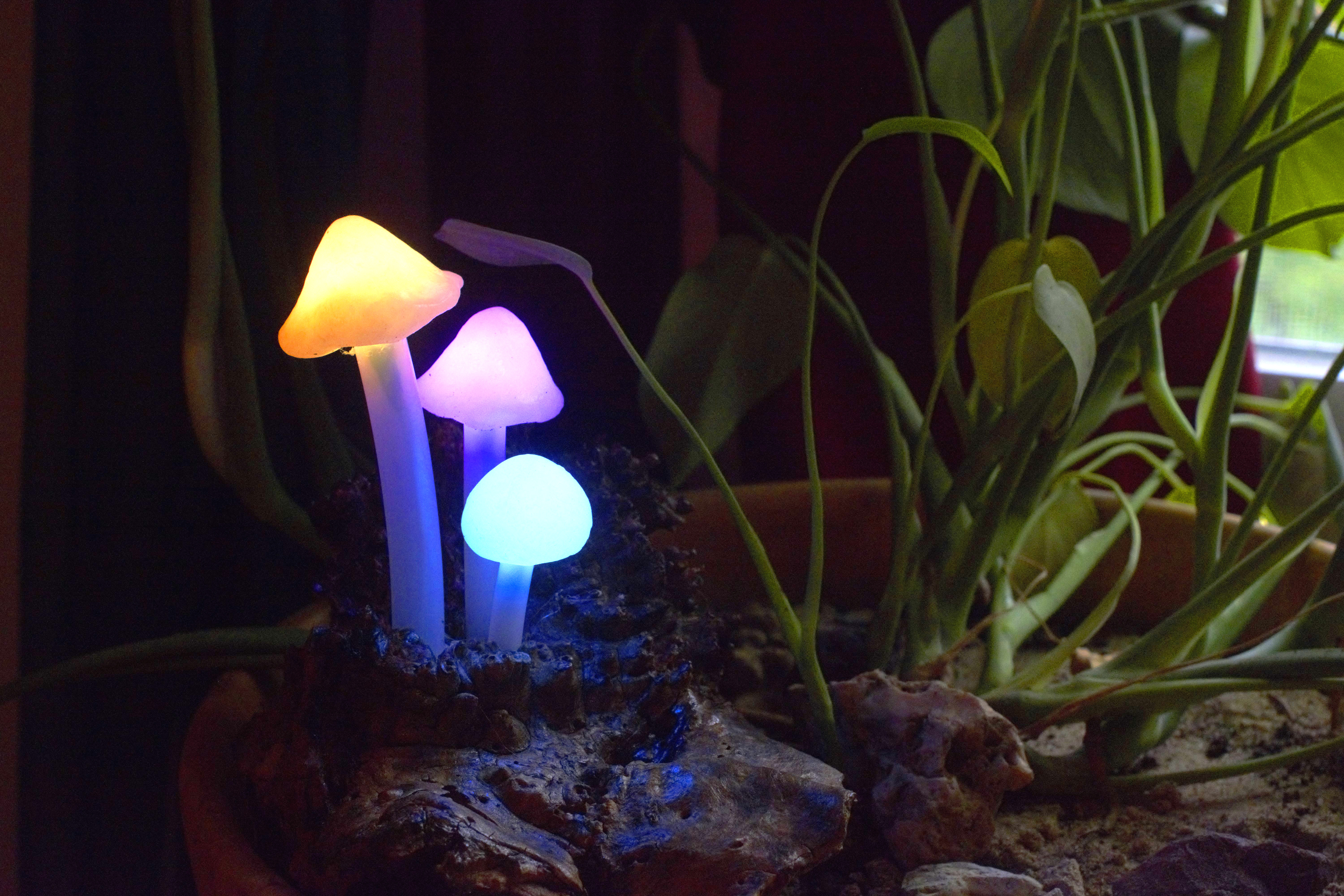 mushroom lamp 3.jpg