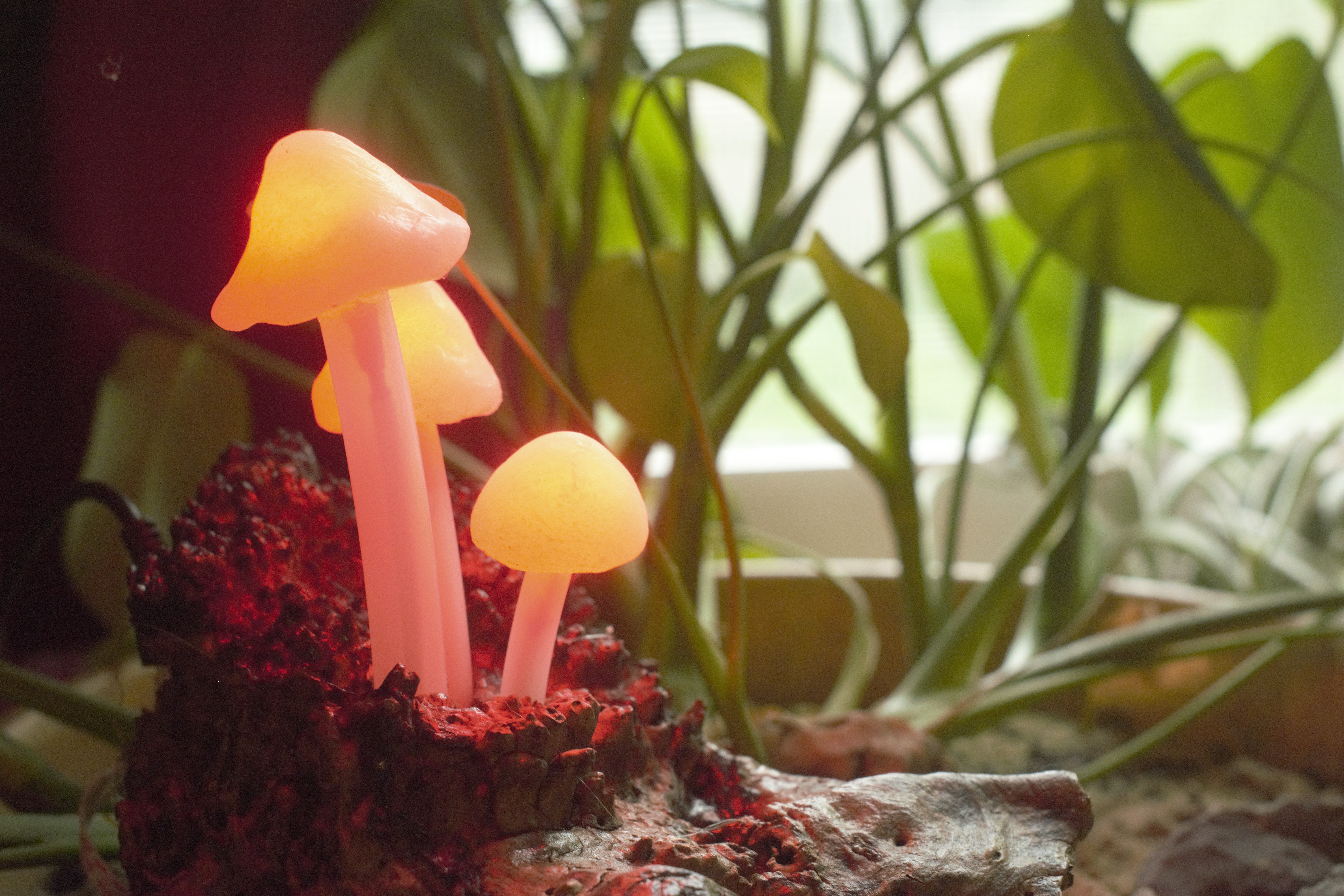 mushroom lamp 6.jpg