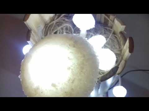 mushroom light (music test)