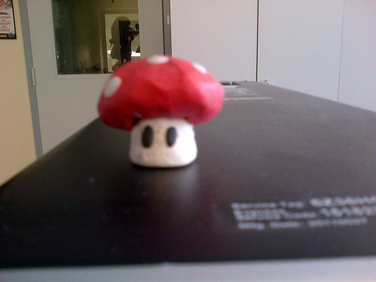 mushroom5.jpg