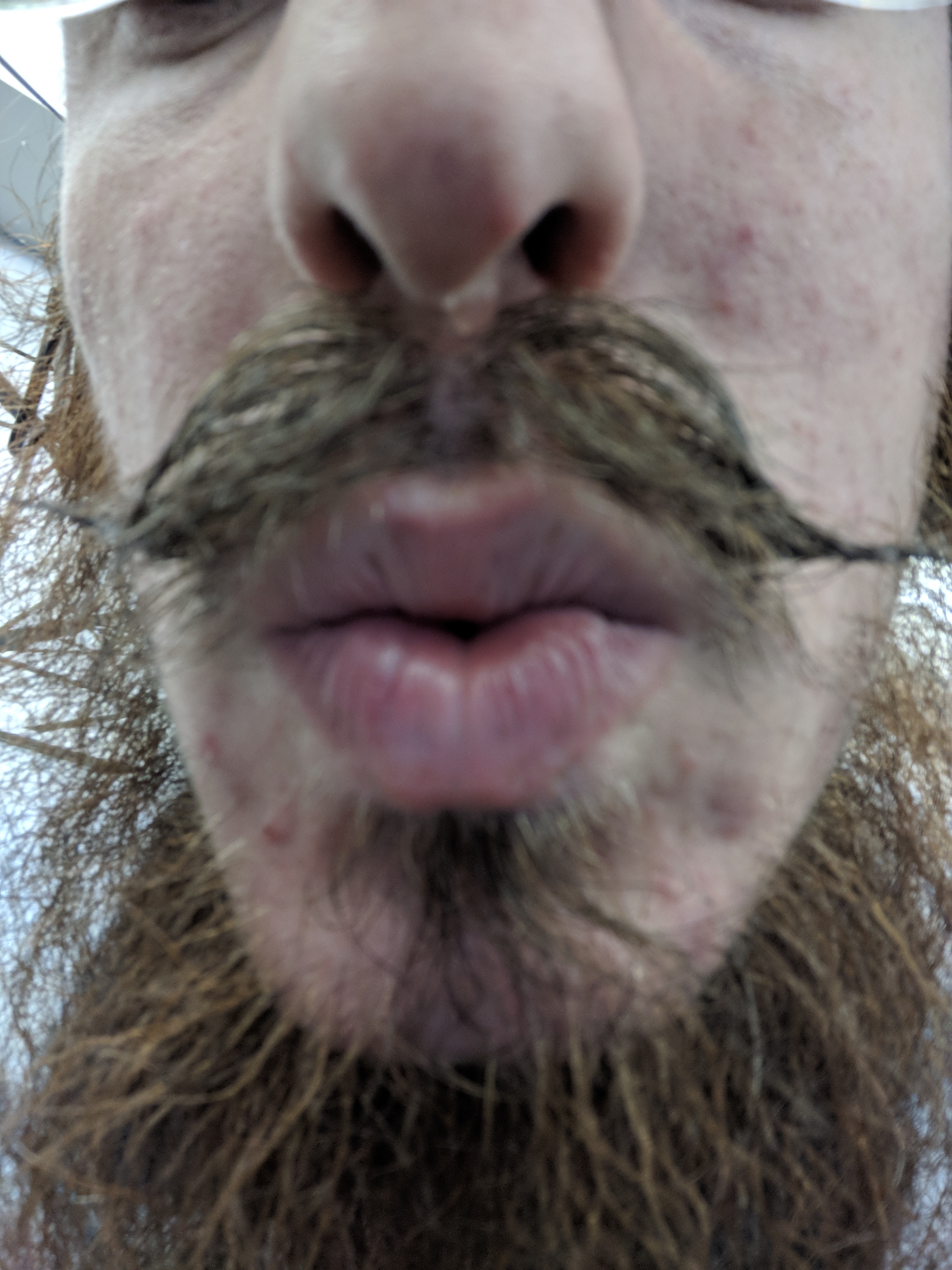 mustache4.jpg