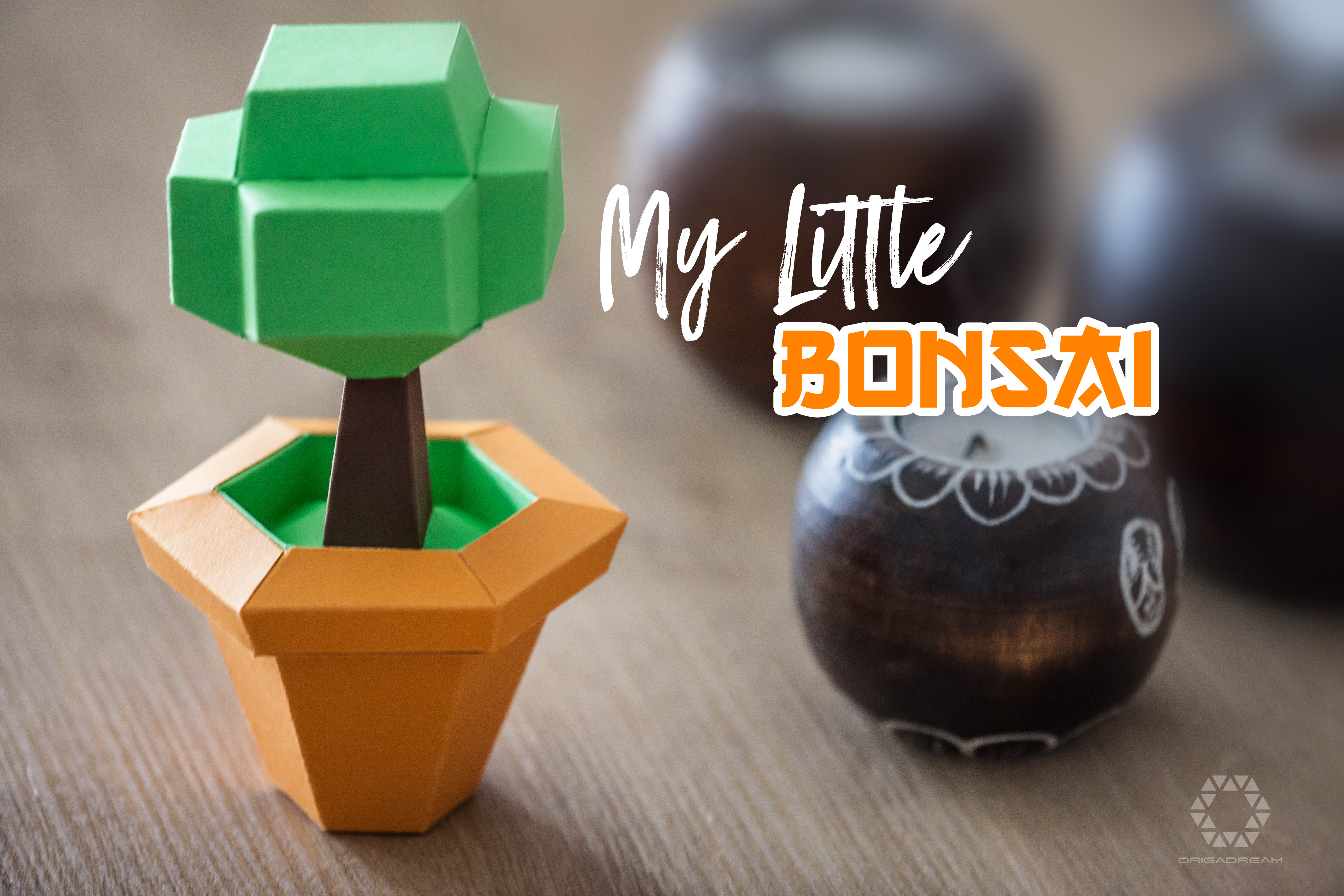 my-little-bonsai2.jpg