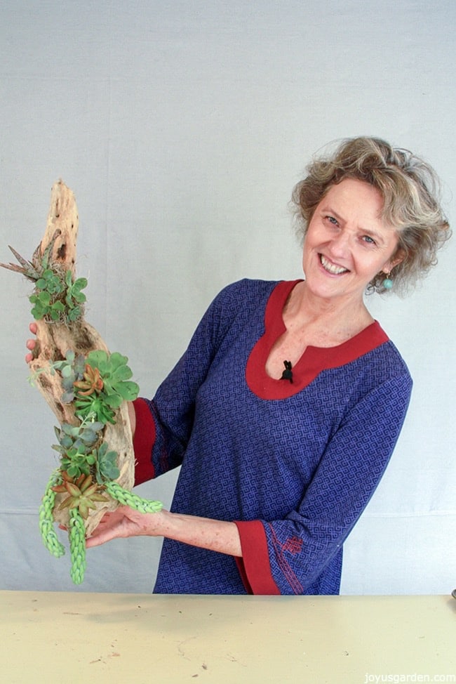 nell-holding-a-driftwood-and-succulents-wall-piece.jpg