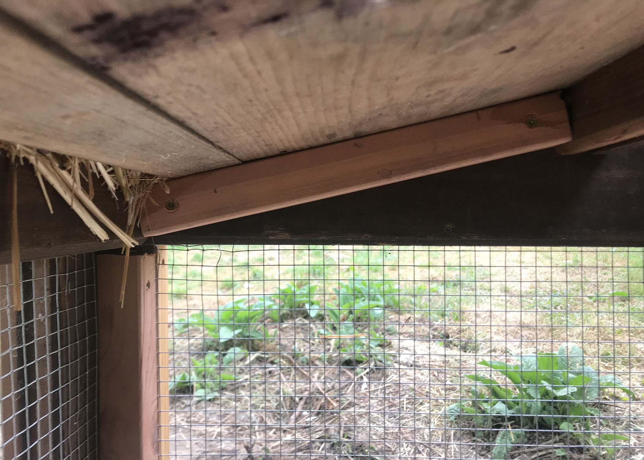 nesting box underside.jpg