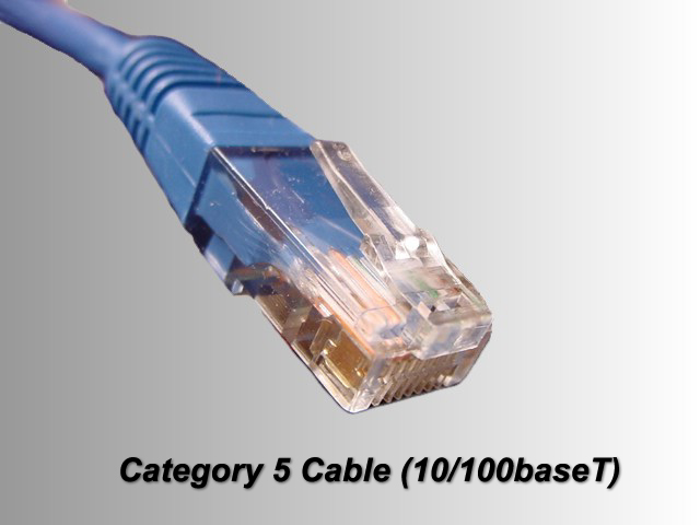 net_CAT 5 cable with RJ-45 connector.jpg