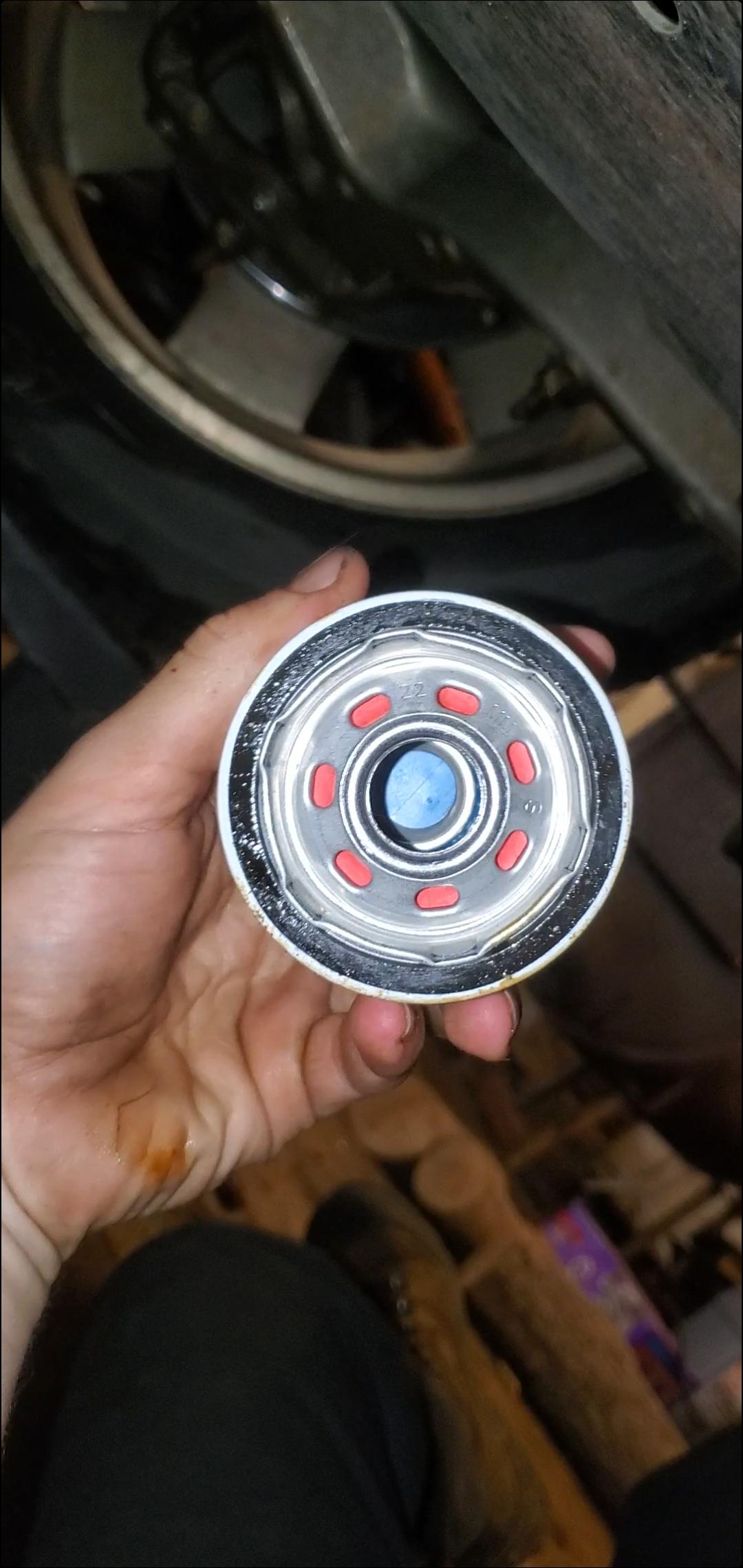 new oil filter.jpg