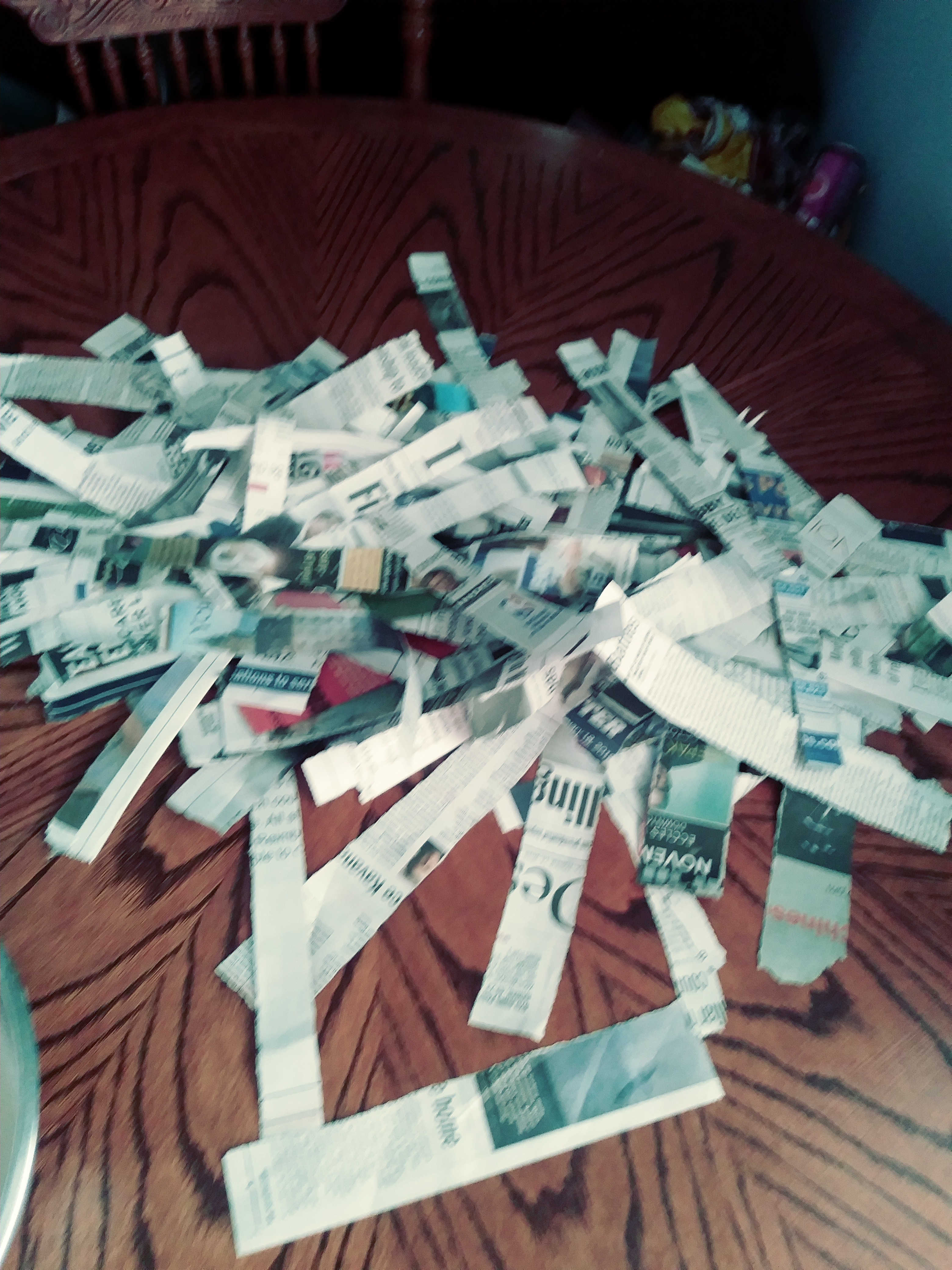 newspaper scraps.jpg