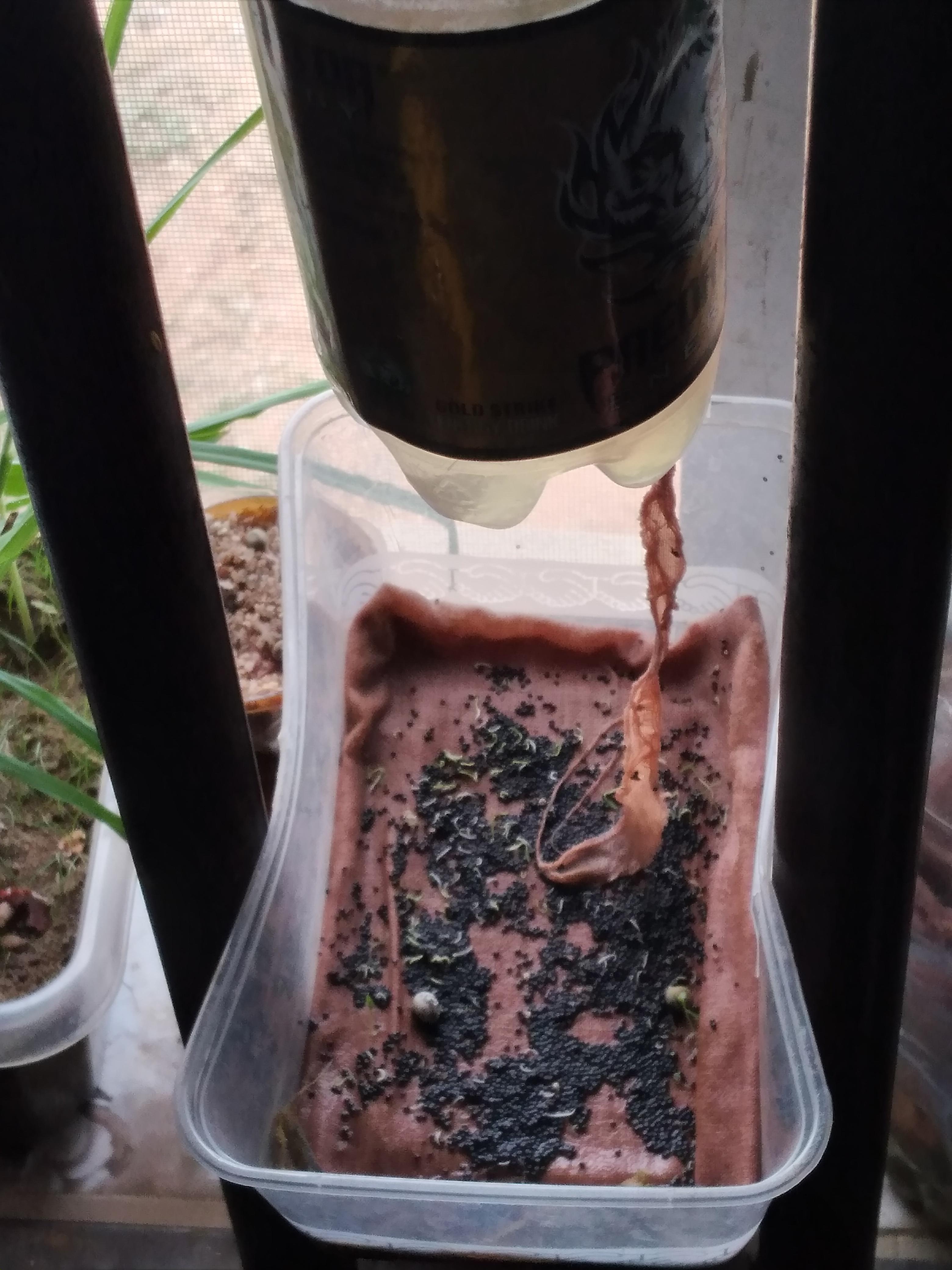 nifty plastic trash diy cheap no cost self watering (24).jpg