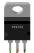 npn01.JPG