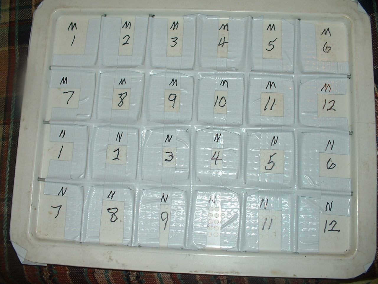 numbered tray.jpg