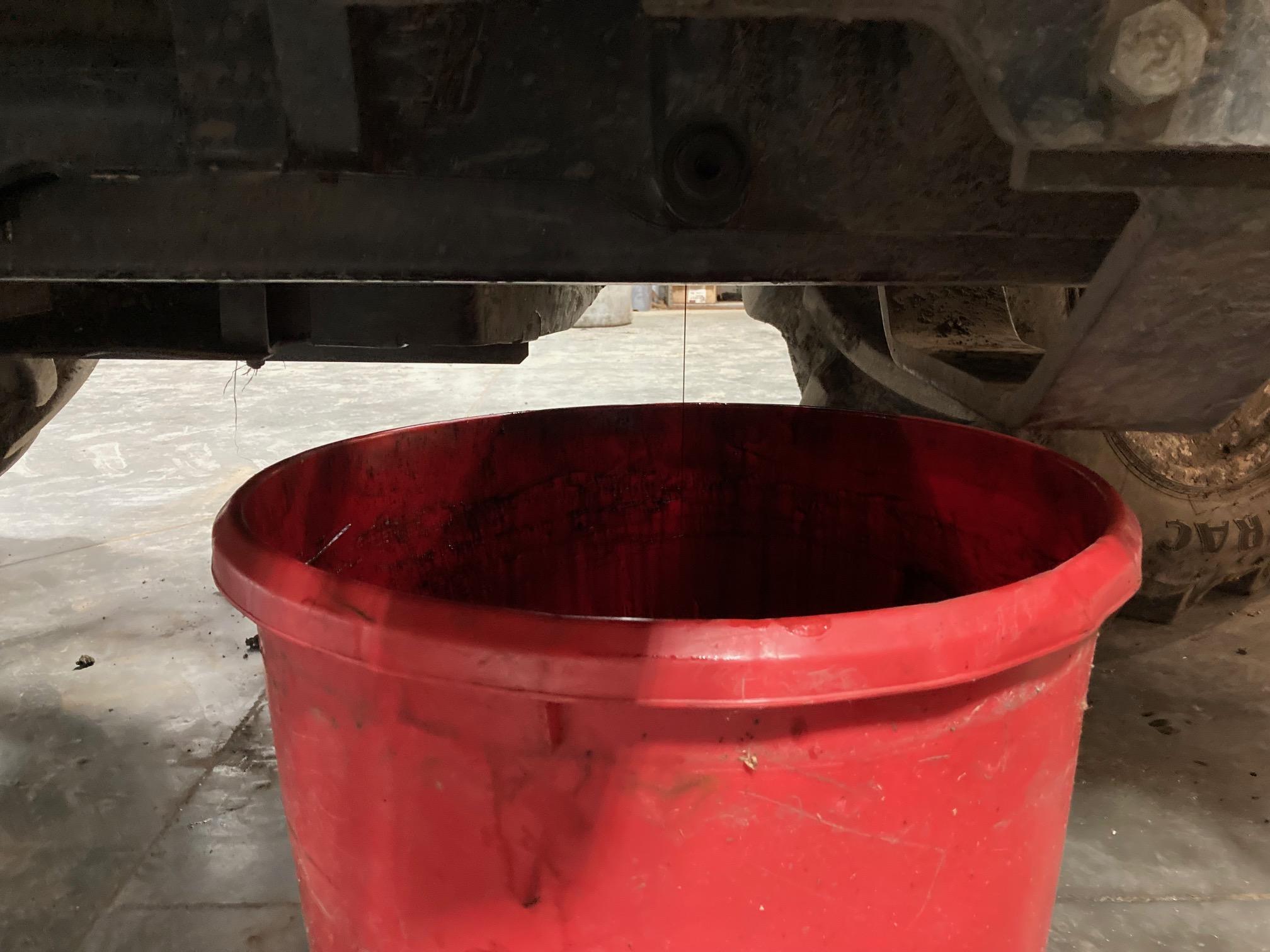 oil6.jpg