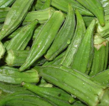 okra-01.jpg