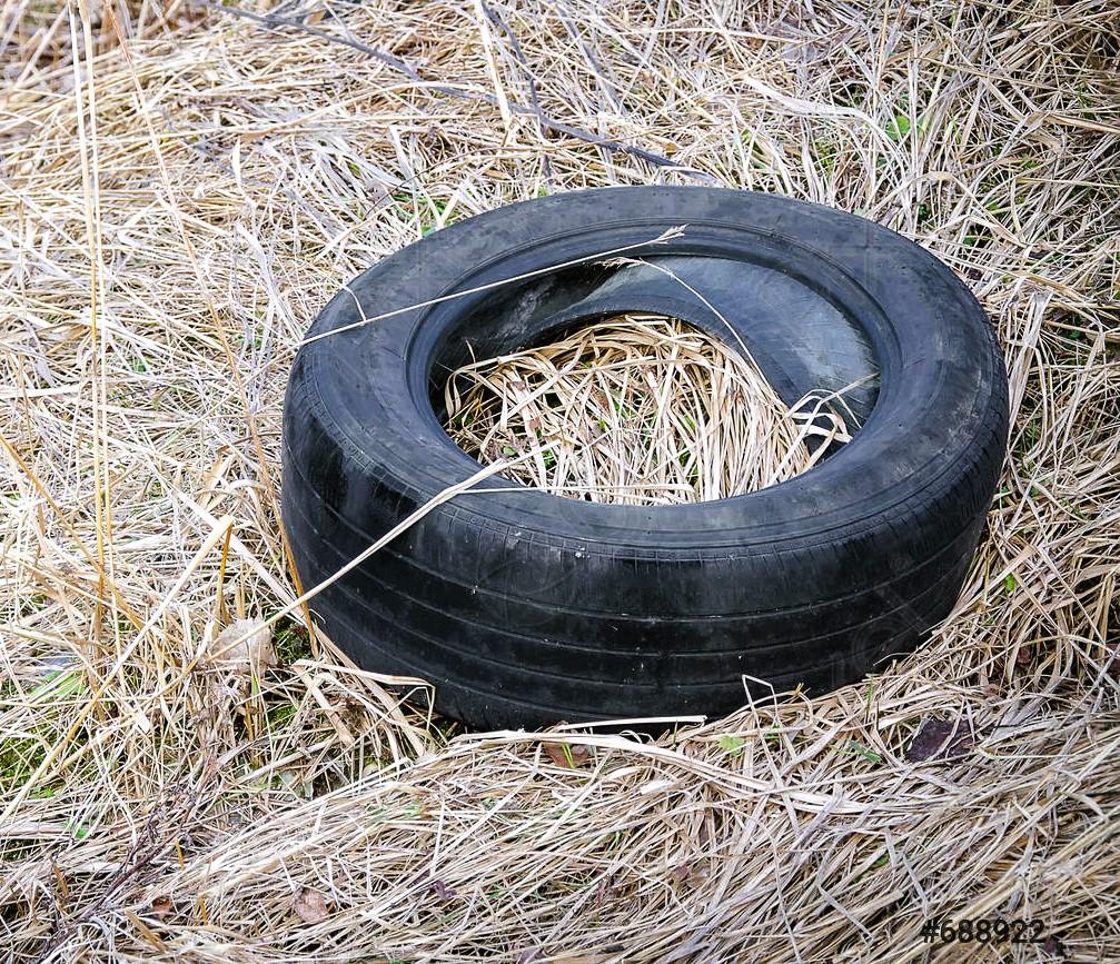 old-tire-on-dry-grass-688922.jpg
