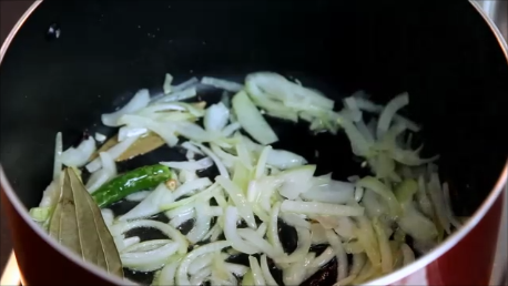 onion slices.png
