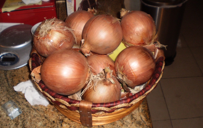 onions.jpg