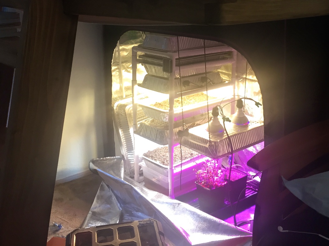 open grow tent night.jpg