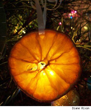 orange-slice-on-tree.jpg