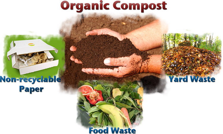 organic-compost-2.jpg