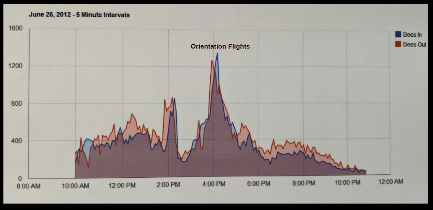 orientation_flights.PNG