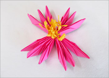 origami-lotus-12.jpg
