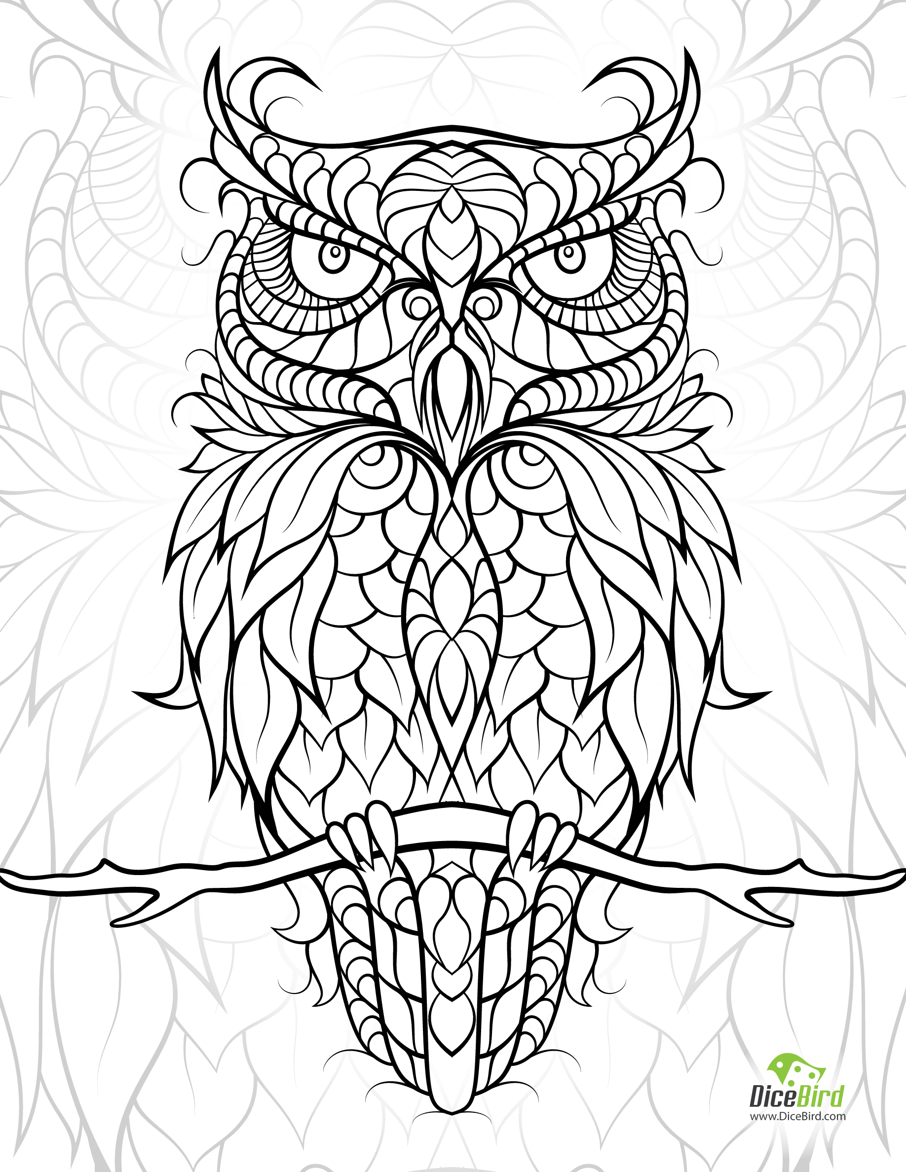 paisley 12.jpg